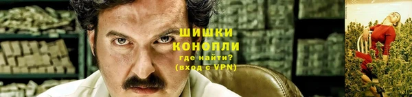 гидра Гусь-Хрустальный