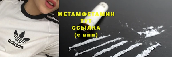 гидра Гусь-Хрустальный