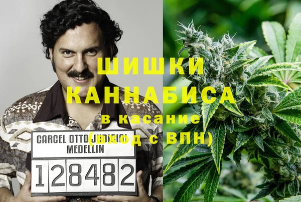 гидра Гусь-Хрустальный