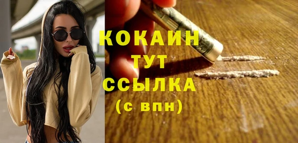 гидра Гусь-Хрустальный