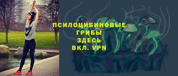 СК Гусиноозёрск