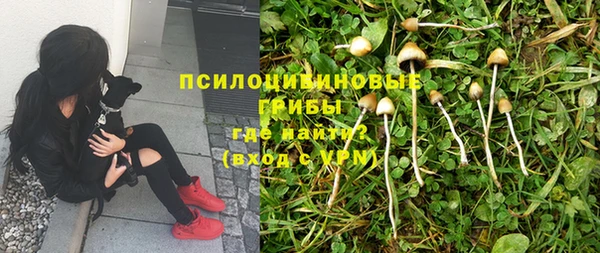 СК Гусиноозёрск