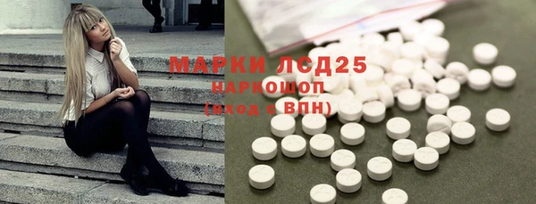 гидра Гусь-Хрустальный