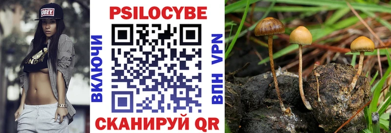 Купить где  Новое Девяткино  Галлюциногенные грибы ЛСД 